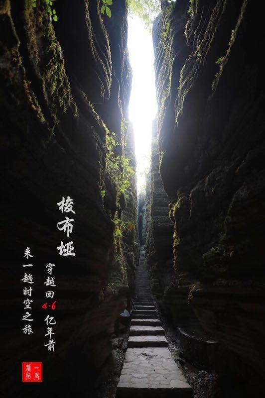 劳动仲裁不支持停工留薪到哪个职能部门维权?游戏画面